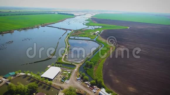 空中摄影摩托车在路上湖之间的道路鱼塘夏日的早晨伊万诺夫斯卡亚视频的预览图