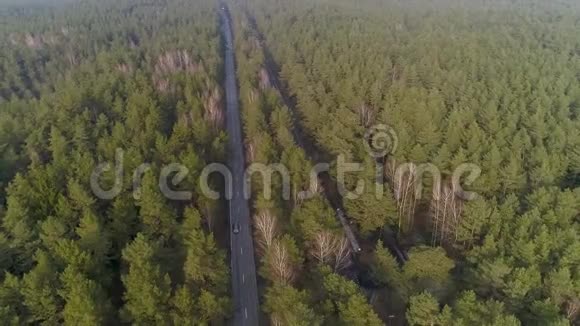 在森林之间的道路上飞行全景两条路中间的树木视频的预览图