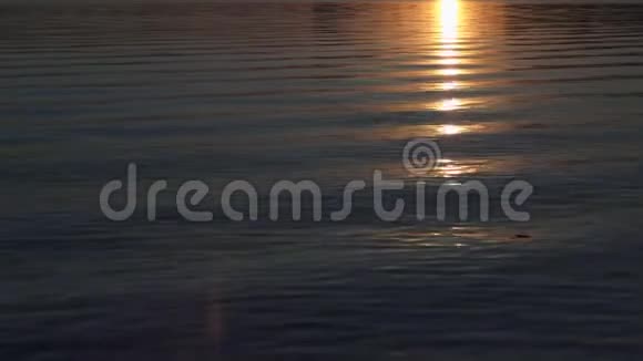日落时太阳光线反射在水的表面视频的预览图