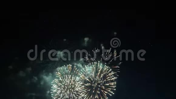 烟花照亮了天空新年庆祝活动视频的预览图