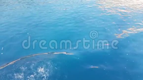 在水面上快速飞行地中海视频的预览图
