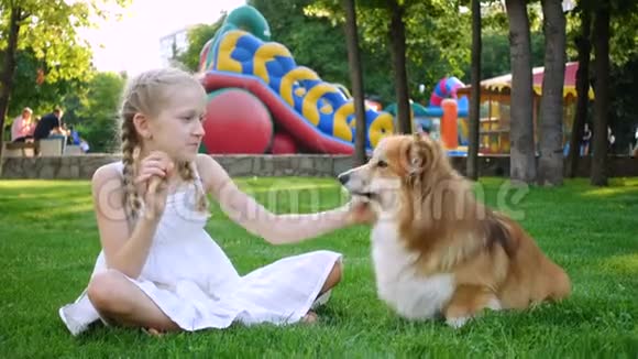 女孩和她的小毛狗吃冰淇淋视频的预览图