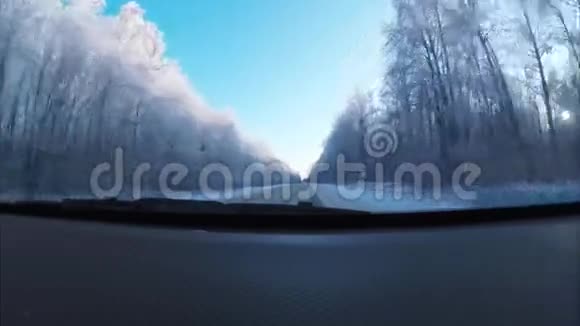 有树木的冬季道路景观视频的预览图