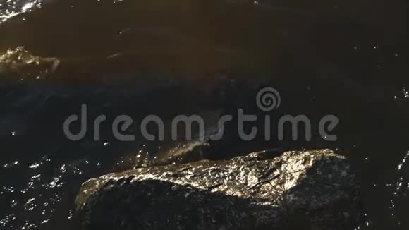 打破岩石上的波浪视频的预览图