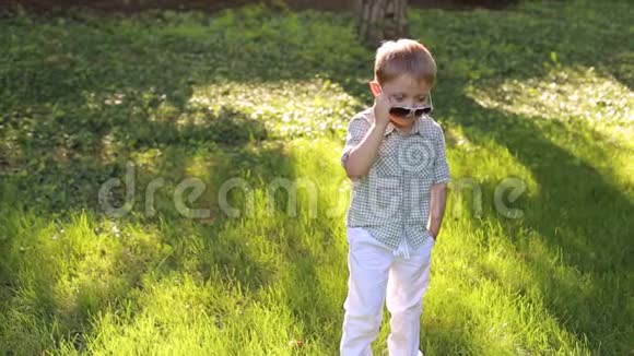 绿色草地上公园里一个戴太阳镜的时髦小男孩的肖像视频的预览图
