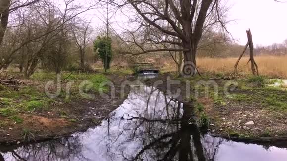 莫登厅公园湿地缓流河流视频的预览图