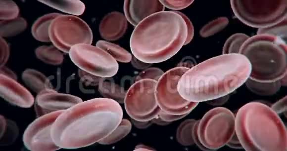 红细胞视频的预览图