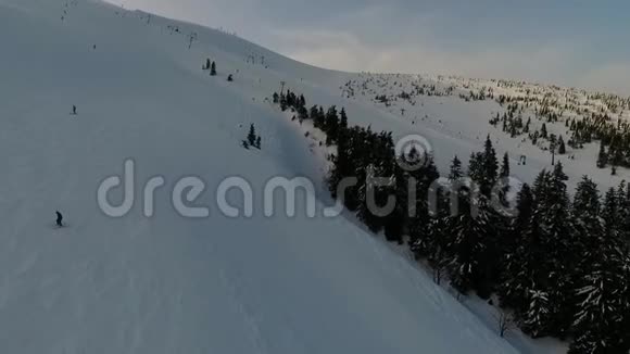 人们在高山上的针叶树间滑雪滑雪缆车空中射击视频的预览图