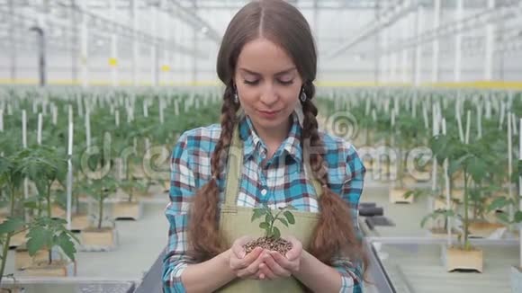 一个女人的肖像她小心翼翼地把一棵植物放在他的手中蓝眼睛的模特视频的预览图