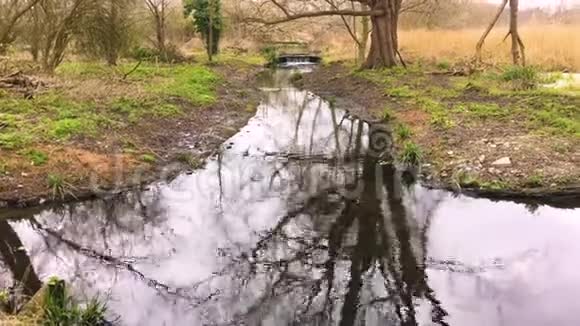 莫登厅公园湿地缓流河流视频的预览图