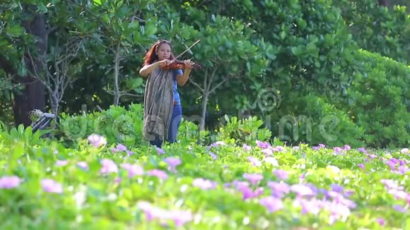 一个女人正在花田附近的海滩上拉小提琴视频的预览图