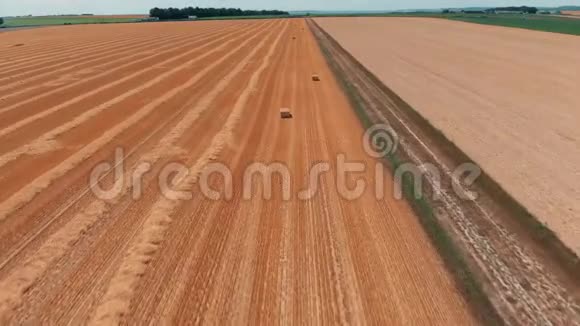 鸟瞰农作物小麦或黑麦田与干草草捆收获农业农场农村空中4k视频视频的预览图