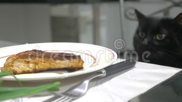 黑猫看着厨房桌子上的一块肉视频的预览图