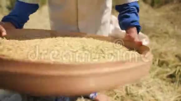 水稻收获过程巴厘岛农场工人妇女在田间送礼物亚洲传统农业4K慢动作视频的预览图