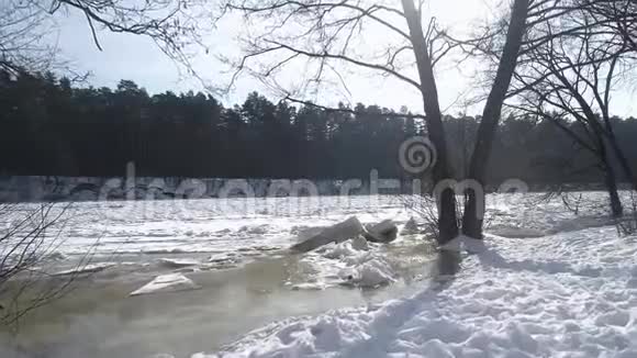 无人机缓缓地从岸边飞到冰冻的河流穿过树木关门视频的预览图