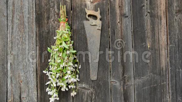 古老的木墙上挂着一串串的花园草药视频的预览图