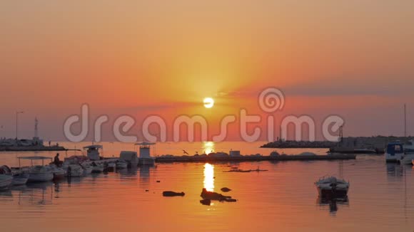 夕阳下的小港湾和飞翔的海鸥视频的预览图