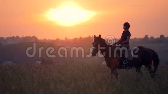 日落时有种马和骑马的女孩骑着它视频的预览图