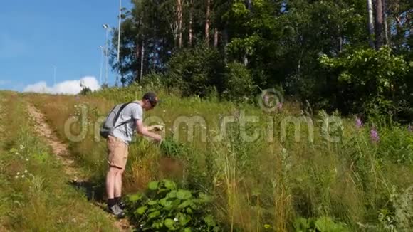 年轻人收集鲜花视频的预览图