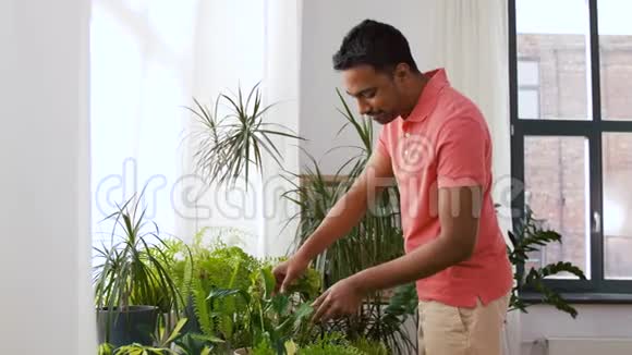 印度男人在家照顾家里的植物视频的预览图