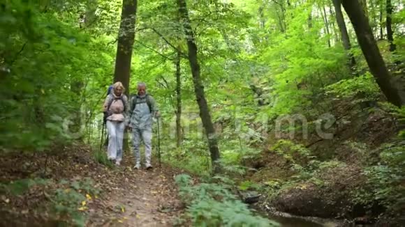 在树林里沿着小路散步的老夫妇视频的预览图