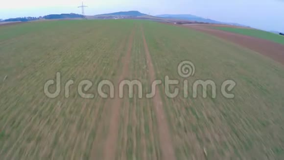 绿色农田远景长耕田农业农业视频的预览图
