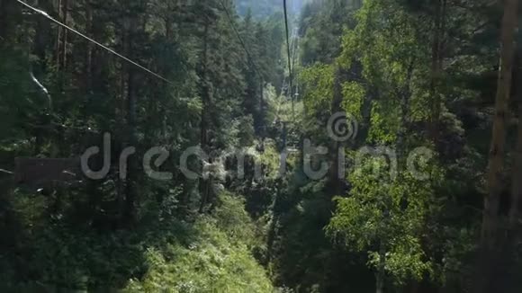 鸟瞰森林索道视频的预览图