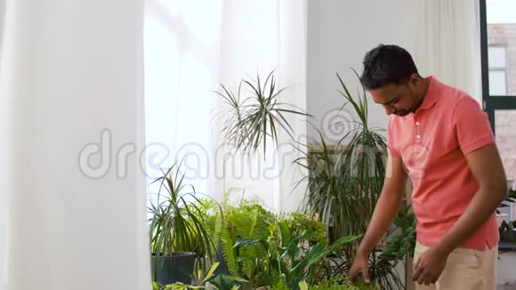 印度男人在家照顾家里的植物视频的预览图