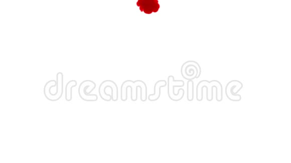 一股强大的暗红色墨水从上到下溶解在水中作为阿尔法通道使用卢马哑光视频的预览图