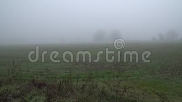 雾蒙蒙的早晨绿野神秘的乡村景象视频的预览图