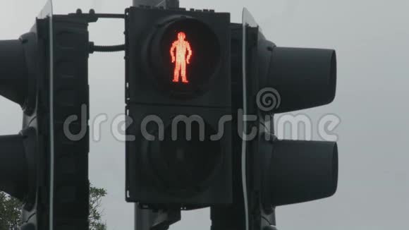 红色交通灯变为绿色允许行人行走批准许可视频的预览图
