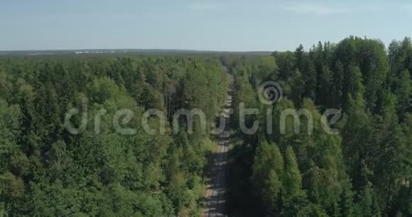 空中景观森林树木和铁路的顶部视频的预览图