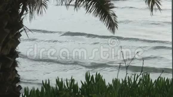 暴风雨的海浪溅在异国情调的海滩与热带植物大众度假胜地视频的预览图
