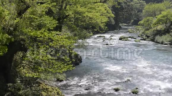 河水流淌视频的预览图