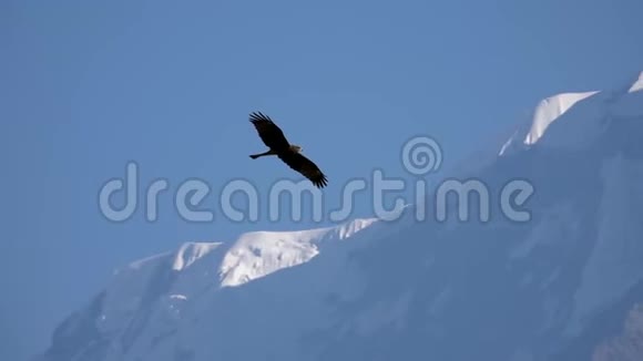 大鹰鸟飞过喜马拉雅山山脉视频的预览图