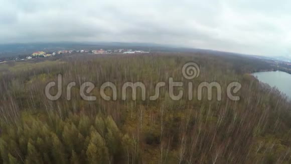 欧洲冬季景观裸林宽河快速运动效果视频的预览图