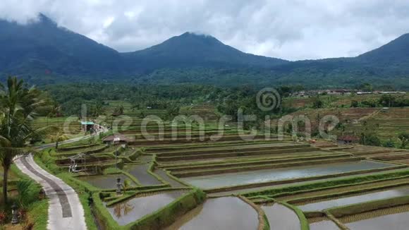 亚洲巴厘岛稻田山谷景观视频的预览图