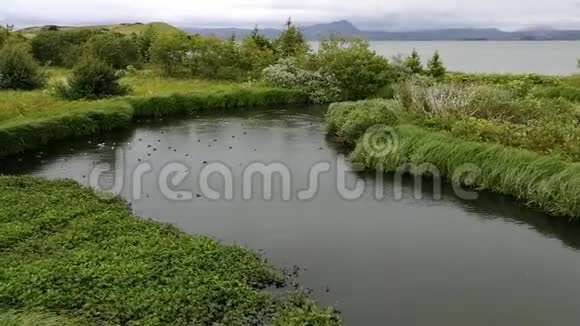 有非常绿色植被的河流视频的预览图