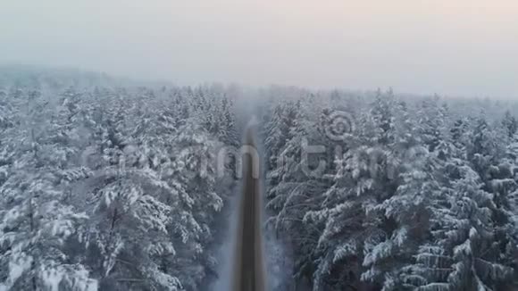 冬季森林中自由农村公路的俯视图视频的预览图