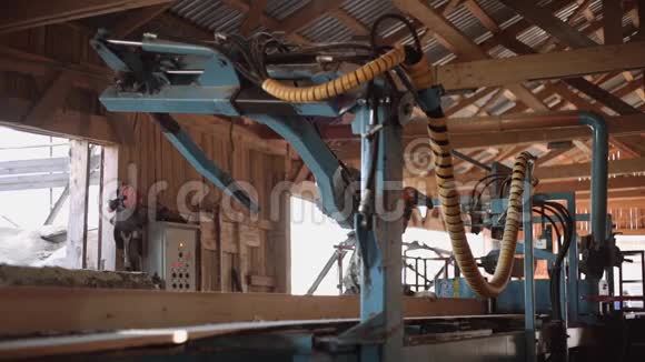 木工在头盔切割木材原木工业锯机视频的预览图