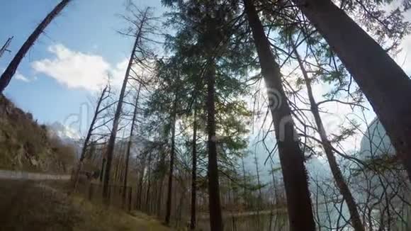 落基山脉晴天的时间推移森林徒步旅行绿色旅游公路视频的预览图