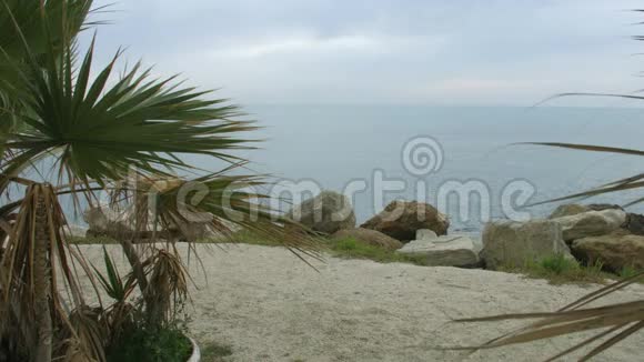在美丽的沙滩上玩石头和棕榈树在海边沉思视频的预览图