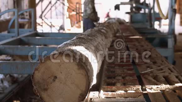 木工在锯木厂的工作台上装载木材视频的预览图