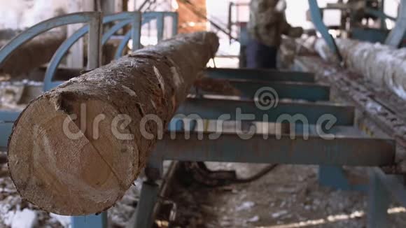 木工在锯木厂的工作台上装载木材原木视频的预览图