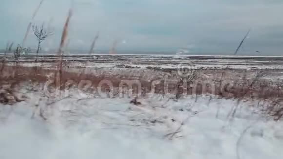 波罗的海沿岸的冬天草地和雪雪覆盖海岸的景色视频的预览图
