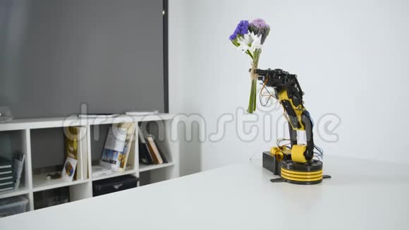 机器人手臂给女孩一束花智能机械手实验工业机器人模型视频的预览图