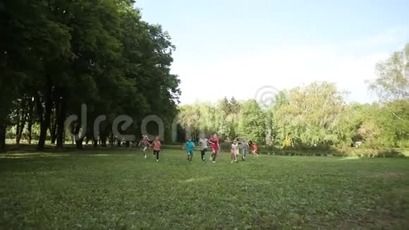 阳光明媚的夏日穿着便装在绿色公园里快乐地奔跑视频的预览图