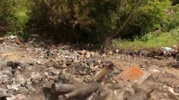 在森林里扔出的家庭垃圾视频的预览图