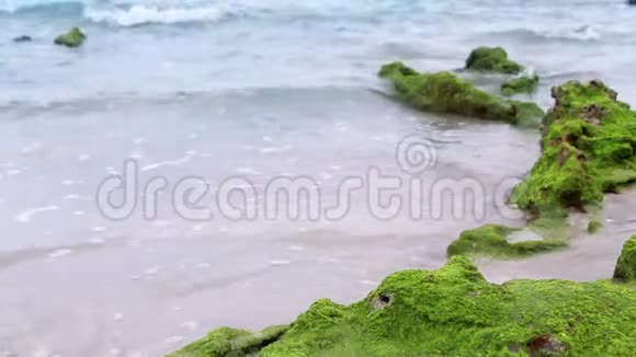 海岩上生长着绿色的苔藓海水海滩上涌来视频的预览图
