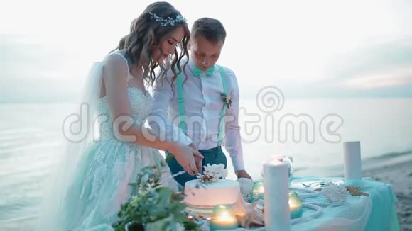 新娘和新郎切婚礼蛋糕视频的预览图